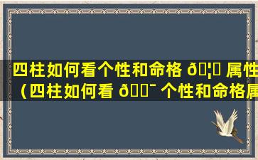 四柱如何看个性和命格 🦅 属性（四柱如何看 🐯 个性和命格属性呢）